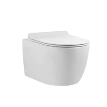 Load image into Gallery viewer, Moon